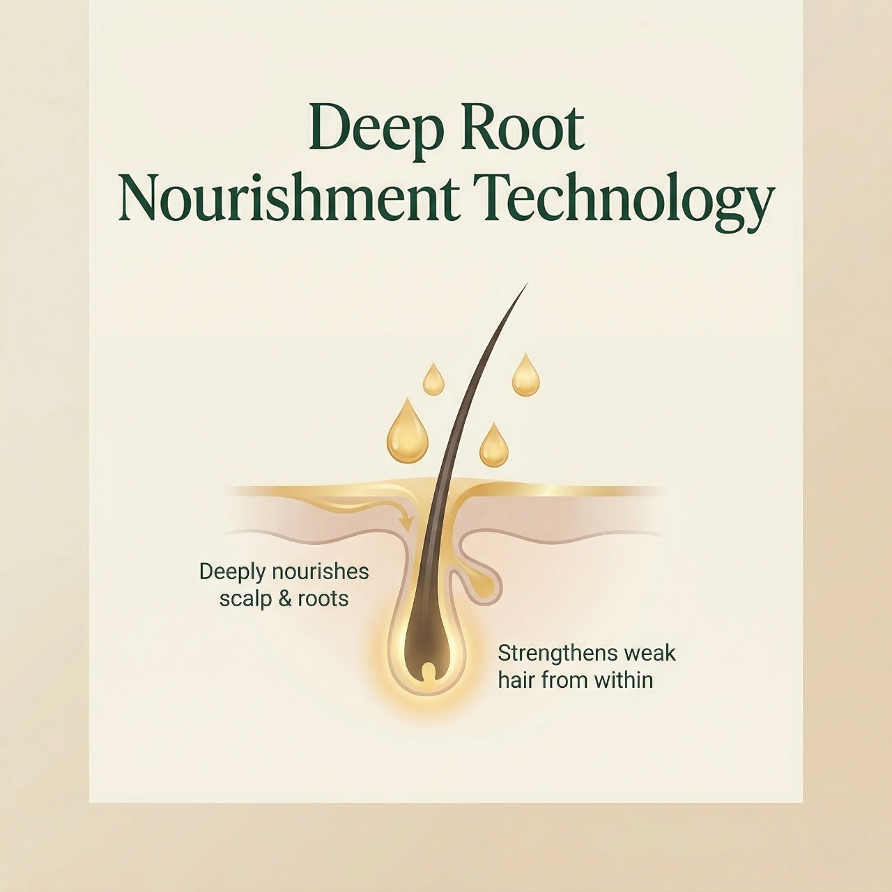 Advertisement for deep root nourishment technology with a hair illustration and text on a beige background.