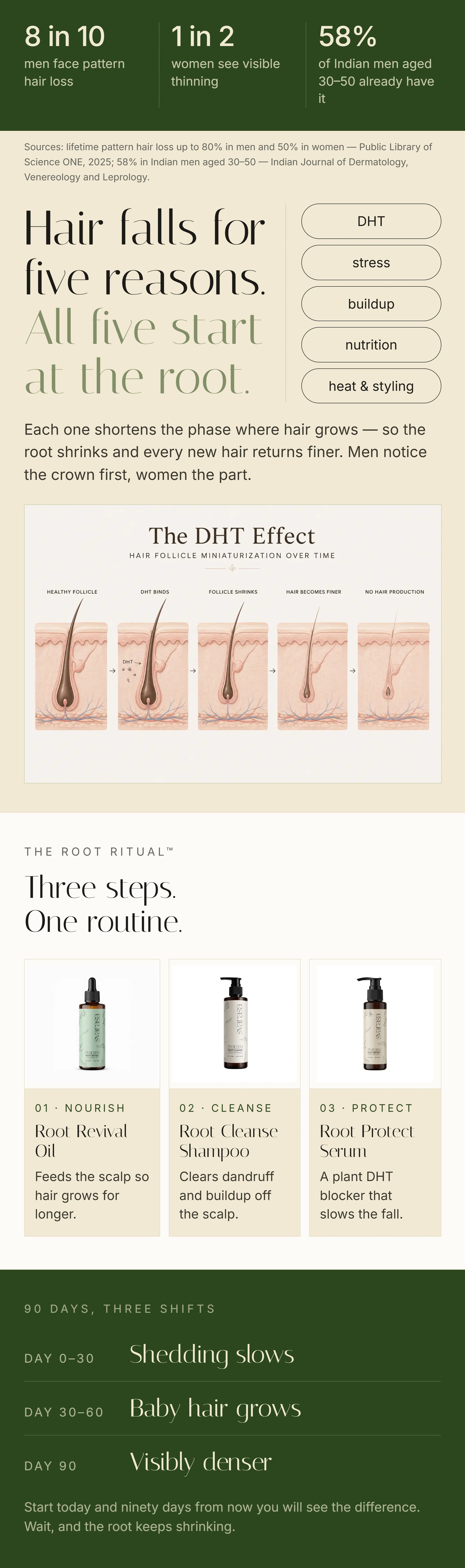 An infographic poster detailing a hair growth routine, titled 'Hair falls for five reasons. All five start at the root.